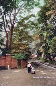  Kearsney - Alkham Valley Road c1900. Dover Library