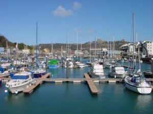Wellington Dock. Alan Sencicle 2009.