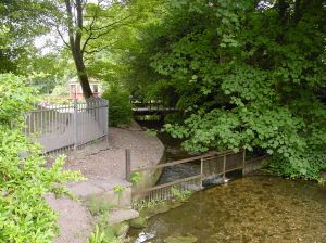 TH Modern Footbridge over the River Dour tributary showing the bifurcation at Bushy Ruff. Left stream goes to the Russell Gardens, right stream to Chiltern Brook. Alan Sencicle