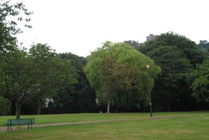 A large part of Pencester Gardens, in the mid-1980s, was under threat to be used for retail development. Alan Sencicle