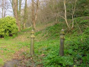 Remains of the zig-zag path at the top of Laureston Place built by the unemployed 1886 