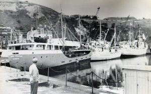 Granville Dock cargo ships, c 1960s. Dover Harbour Board