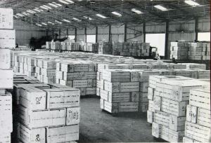 Granville Dock Transit Shed 1960s. Dover Harbour Board
