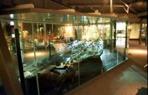 The World's earliest known sea going craft - the Bronze Age Boat in its own special gallery on at the Dover Museum. Dover Museum