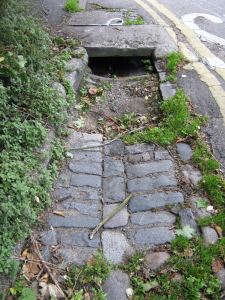 Laureston Place with the original cobble stones and drainage system. Lorraine Sencicle 2010