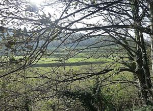 Site of the former Channel Tunnel Workers Camp, Farthingloe. AS 2014