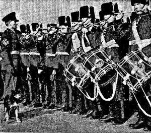 Presentation of Rover pup of Blue Peter's Petra. Note the Junior Leaders Regimental Band wearing the full dress uniform incluing busbies identical to those worn by the Corps of Engineers on ceremonial occasions before 1914. Kent Messenger December 1965