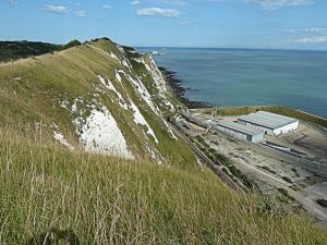 Round Down Cliff showing exposed cliff following the 1843 blast. Below is the Channel Tunnel ventilation facility. AS 2014
