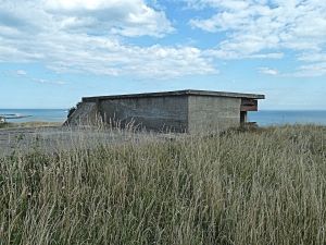 World War II battery on the site of one of the Napoleonic gun emplacements . Round Down Cliff. AS 2014