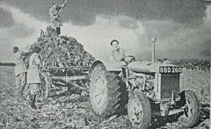 Women's Land Army at Work. From a British Government leaflet. Doyle Collection