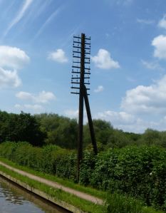 Old fashion cable carrying telephone pole. LS 2014