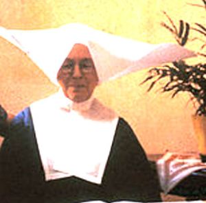 The Sisters' of St Vincent's traditional religious habit included a large, starched cornette. Internet
