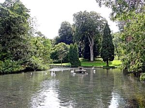 Kearsney Abbey lake, fountain and swans. Alan Sencicle