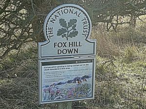 Fox Hill Down east of the Castle and, these days, owned and conserved by the National Trust. LS