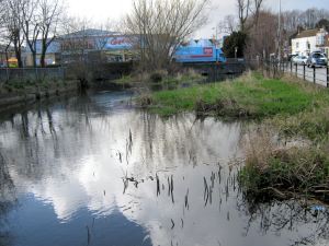 River Dour at Charlton Green, the gated garden next to Morrisons in on the left. halfords can just be seen and the Red Lion pub is on the right. 2014. LS