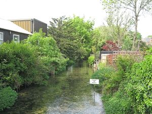 Dour from Common Lane bridge, River. Lorraine Sencicle 2016