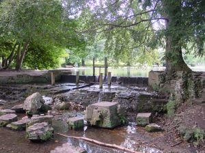 Kearsney Path and Ruins Dour. Alan Sencicle 2009
