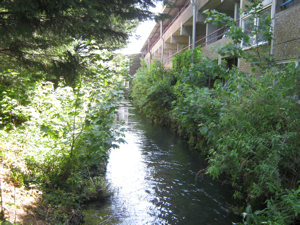 Dour from Crafford Street looking down stream. The Charlton Centre Car Park is on right. LS