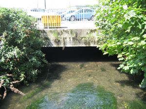Dour from the north parapet on Crafford St. emerging from underneath the Castleton Shopping Centre car parks. LS