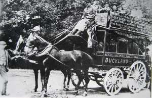 P W Sneller's Omnibus Service founded in 1878. Bob Hollingsbee