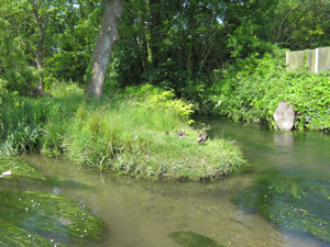 Dour from Dieu Stone bridge, Pencester Gardens are on the left. LS