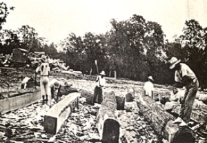 Squaring mahogany logs for export in Belize. Around 1936 from 'The forests and flora of British Honduras' by Paul Carpenter, 1884-1963. Wikimedia.org