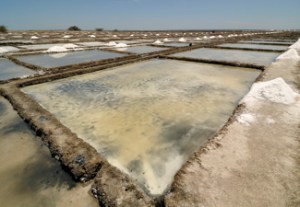 Salt pans in Marakkanam India by Sandip Dey 2012. The ones in the Turks and Caicos, part of the Bahamas in Cockburn's time. Wikimedia-Commons