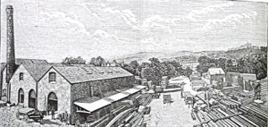 Finnis Timber Yard, Biggin Street late 19th century. Dover Library