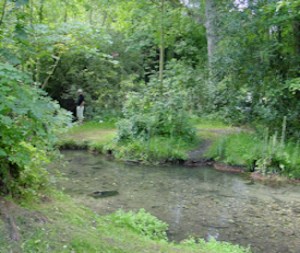 Dour alongside Watery Lane between Kearsney Abbey and River papermill, now Lower Road, River. Alan Sencicle