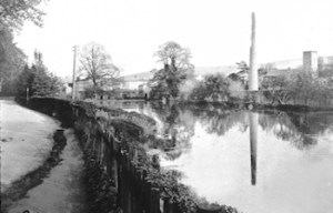 River Paper Mill Chimney and River Dour c1900 from Kearsney - Budge Adams collection Museum