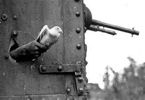 Pigeon being released from a tank. Daily Telegraph 12.10.2019
