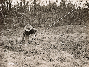 Electricity & Radiography class, cadet driving stakes into the ground for one of the three ropes to guy the aerial pole. United States National Archives