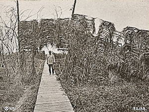 Camouflage woods creating irregular lines of overhanging trees across frequently used boardwalks to the Front. United State National Archives